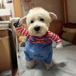 Costume Halloween Hilarant pour Chien